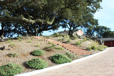 Photo of a landscaping in San Luis Obispo.