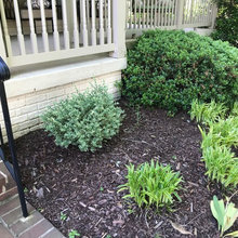 Front Walk