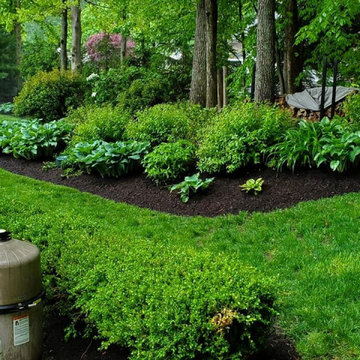 Seymour, CT | Lawn Fertilization & Weed Control Services | Lawn Care Maintenance