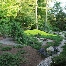 pathway/landscape