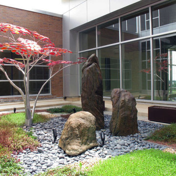 Zen Roof Garden - Dublin Methodist Hospital
