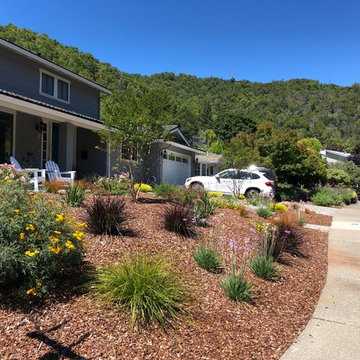 Deer Resistant Landscape