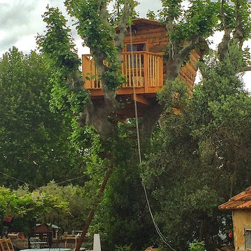 cabane