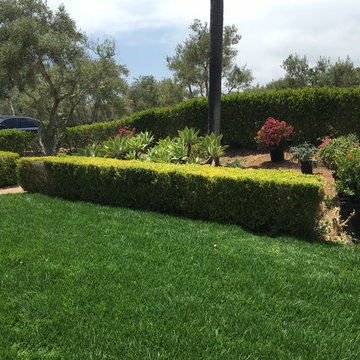 Lawn Installation Projects
