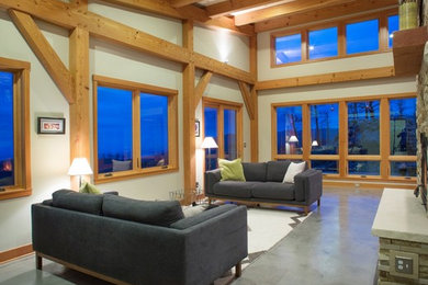Living room - contemporary living room idea in Denver