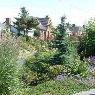 Plantings & Landscape - West Seattle, WA