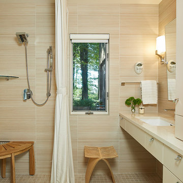 Lakeside Transitional #2