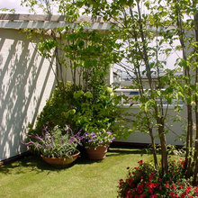 JARDINS