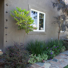 Landscape Ideas
