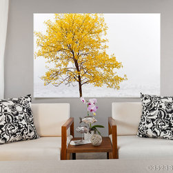 Tree Collection - Prints And Posters