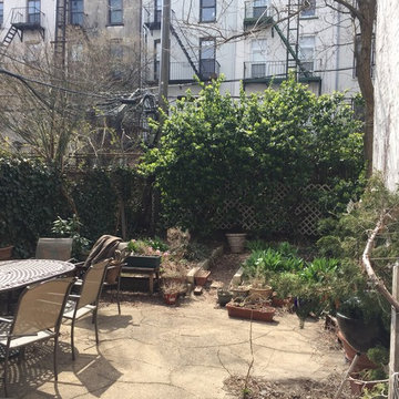 Park Slope Backyard Transformation - New Planting