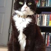 Amy Lummer's photo