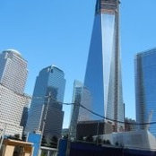 Carol Cross's photo