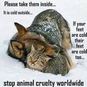 Joan Ropson's photo