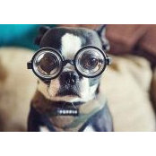 Ivan Ugarov's photo