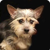 Catherine Pascucci Berrettini's photo