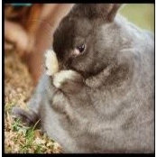 Foto de drdutton
