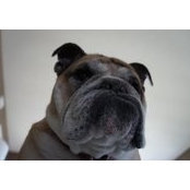 Peter Lang's photo
