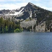 Thalia Radey's photo