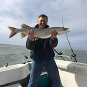 Joe Blidy's photo