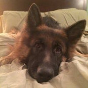 Sabrina Sheth's photo
