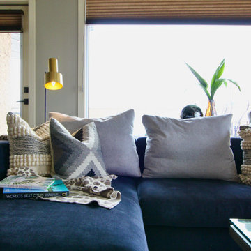 Well-Travelled & Eclectic Condo Renovation - Part 1