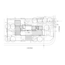 Rosa Remodel