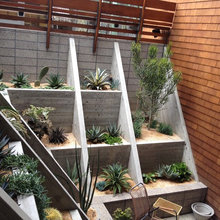 Terraced Ledges for Plants