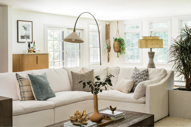 Transitional living room photo in Boston