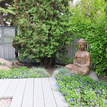 Patio Ideas