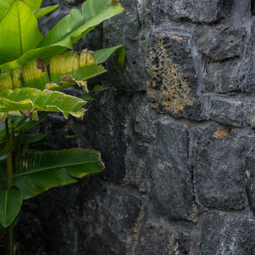 Hawaiian Landscape