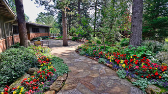 thornton co landscaping