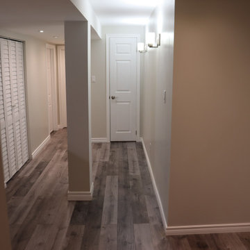 Ashford Project: Basement Renovation
