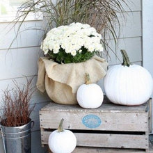 fall decor