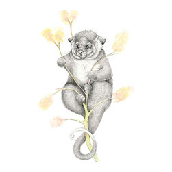 Possum Magic Gicl&eacute;e Print - Fine Art Prints