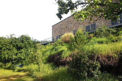 Diseño de terraza campestre grande sin cubierta en patio trasero con jardín de macetas