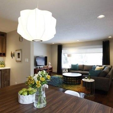 Retro Modern Renovation