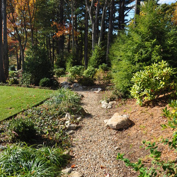 Dry Stream Beds