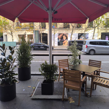 Decoración vegetal para terraza de restaurante en Serrano, Madrid