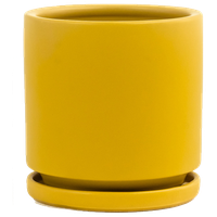 Gemstone Porcelain Pot Planter, Mustard, 10.5"