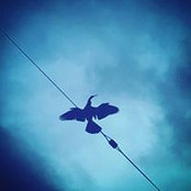 Dot Parker's photo