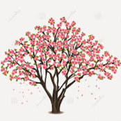 Laura Madden's photo