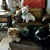 Carla McLeod's photo
