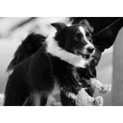 Ben Alexander's photo