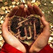 Mohamed Hariz's photo