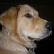 Joe W's photo