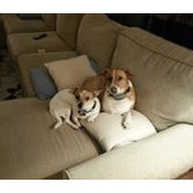 Julie Beck's photo