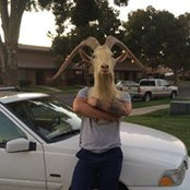 Daniel Maldonado's photo