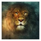 Merrie Flaherty's photo