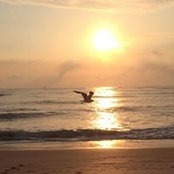 Kristine Rynn's photo